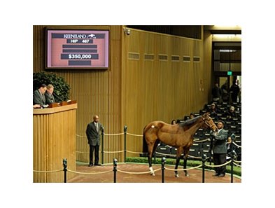 Distorted Humor Filly Sells For $350,000 - BloodHorse