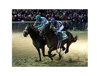 Blame Retired Available For Inspection Bloodhorse