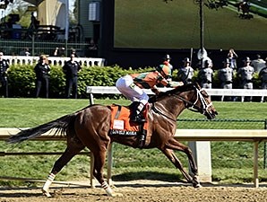 Lovely Maria - Horse Profile - BloodHorse