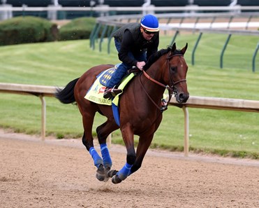 American Pharoah - Horse Profile - BloodHorse