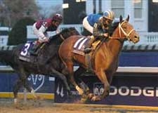 Invasor Conquers Bernardini In Breeders' Cup Classic - BloodHorse