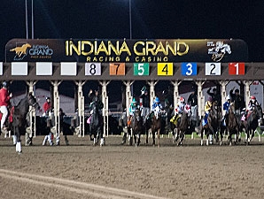 indiana grand casino horse harness racing