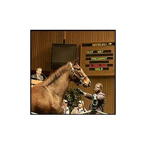 Fusaichi Pegasus' Sister Brings $4-Million - BloodHorse