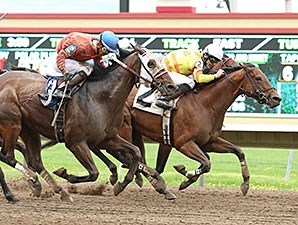 Polar Plunge - Horse Profile - BloodHorse