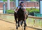 Competitive Edge
&lt;br&gt;&lt;a target=&quot;blank&quot; href=&quot;
http://photos.bloodhorse.com/AtTheRaces-1/At-the-Races-2015/i-4W3MgvR&quot;&gt;Order This Photo&lt;/a&gt;