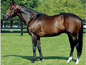 Olmodavor's First Winner - BloodHorse