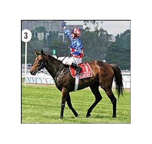 Makybe Diva Changes from Encosta de Lago to Fusaichi Pegasus - BloodHorse