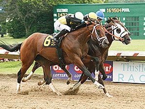 Jacksons start first Preakness Stakes runner, Divining Rod, since