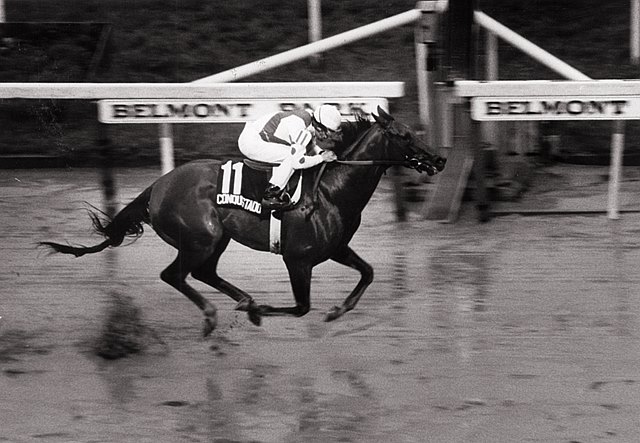 Image result for Conquistador Cielo wins the Belmont Stakes in 1959