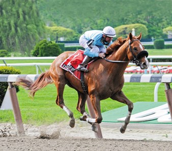 Casino Drive - Horse Profile - BloodHorse