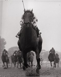 Conquistador Cielo Holy Bull Took Flight In Met Mile Bloodhorse