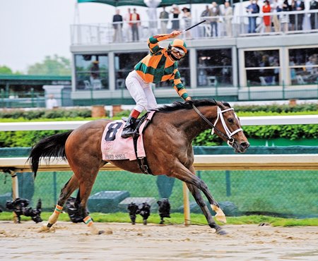 Northern Farm Sale To Offer Top Quality Pedigrees Bloodhorse Northern Farm Sale To Offer Top Quality Pedigrees Bloodhorse