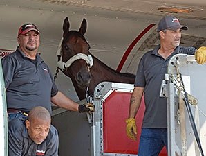 Zayat at the Haskell: I Was Extremely Nervous