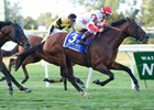 Ken and Sarah Ramsey&#39;s homebred Big Blue Kitten unleashed his typical late kick on the outside rounding the far turn and held off a late challenge by Slumber and Twilight Eclipse to win the Joe Hirsch Turf Classic (gr. IT) in course-record time at Belmont Park.