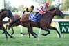 Ken and Sarah Ramsey&#39;s homebred Big Blue Kitten unleashed his typical late kick on the outside rounding the far turn and held off a late challenge by Slumber and Twilight Eclipse to win the Joe Hirsch Turf Classic (gr. IT) in course-record time at Belmont Park.