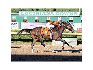 Mobile Bay Prado Rally To Super Derby Win Bloodhorse - 
