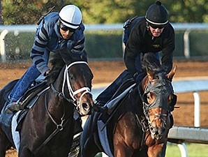 Commissioner (inside) and Protonico (outside) - Keeneland, October 16, 2015.