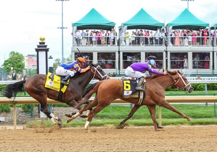 Princess of Sylmar - Horse Profile - BloodHorse