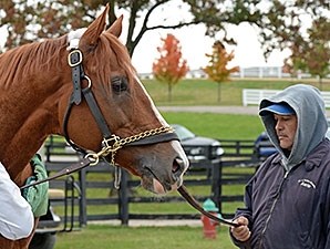 Lea - Horse Profile - BloodHorse