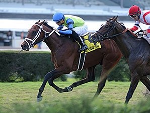 Swagger Jagger a Feel-Good Gulfstream Winner - BloodHorse