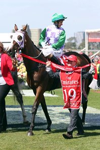 Prince of Penzance and Michelle Payne return to the winner's circle after the 2015 Melbourne Cup 