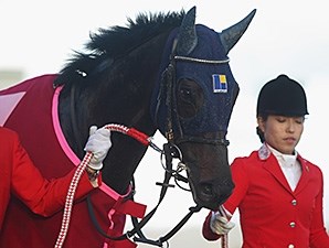 Marialite (JPN) - Horse Profile - BloodHorse