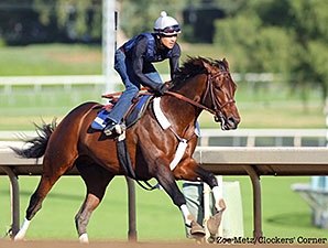 Calculator Speeds to Victory in Clockers' Corner Stakes - BloodHorse