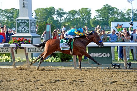 American Pharoah wins Belmont Stakes to become horse racing's first Triple  Crown winner since Affirmed in 1978 – New York Daily News