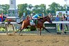 American Pharoah wins the Belmont and becomes a Triple Crown winner.
Belmont1 image2044
Anne M. Eberhardt photo