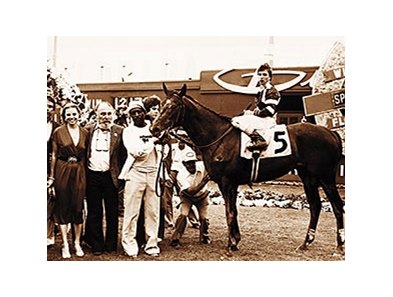 Harry Raferty Meyerhoff, Owner of Spectacular Bid, Dies - BloodHorse