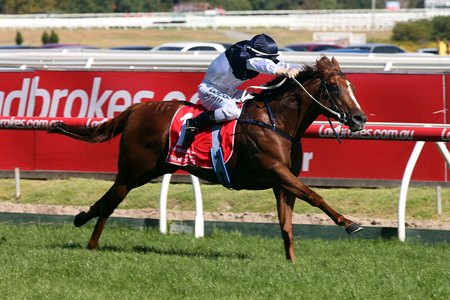 During his racing career, Extreme Choice won the 2016 Blue Diamond Stakes at Caulfield Racecourse