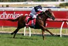 Extreme Choice takes the Blue Diamond Stakes (gr. I) at Caulfield Racecourse in Melbourne Australia.