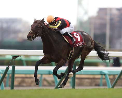 2017 Japanese Breeding Statistics Released - BloodHorse