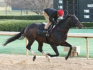 Gentlemen s bet horse to place value investing columbia mba essay