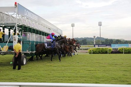 Horses leave the starting gate at Kranji Racecourse in Singapore