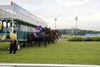 Kranji Racecourse Singapore Scene