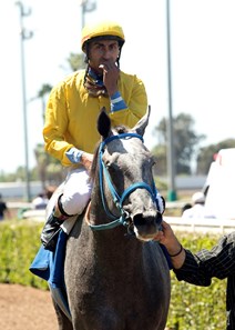 Creative Cause - Horse Profile - BloodHorse