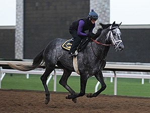 Mylute - Horse Profile - BloodHorse