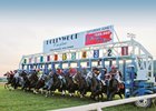The horses leave the starting gate at Penn National on June 1, 2013.