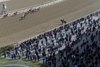 A nice crowd attended Wood Memorial Day at Aqueduct April 5, 2014.  Photo by Skip Dickstein