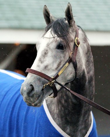 Breeders cup predictions Breeders cup predictions