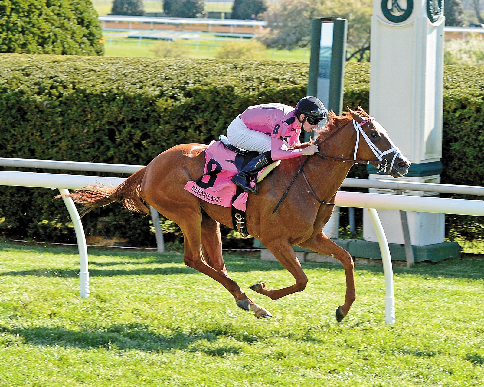 Thoroughbred Racing - BloodHorse