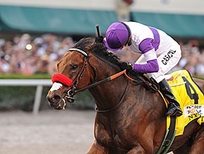 Nyquist - Horse Profile - BloodHorse