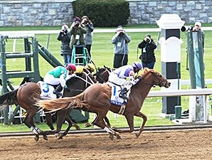 Weep No More - Horse Profile - BloodHorse