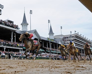 Orb - Horse Profile - BloodHorse