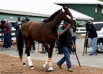 Nyquist - Horse Profile - BloodHorse