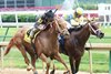 DIVA EXPRESS - I'm A Looker - Dead Heat - The Winning Colors Gr III - 13th Running - 05-28-16 - R10 - CD - Fin 2
