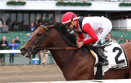 Bradester - Horse Profile - BloodHorse