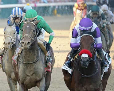 Nyquist - Horse Profile - BloodHorse