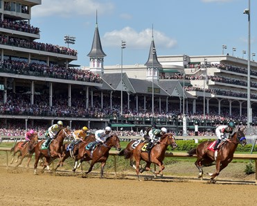 Majestic Harbor - Horse Profile - BloodHorse